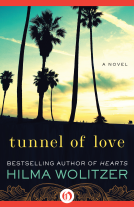 book cover for Tunnel of Love