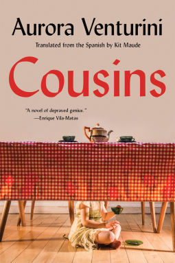 book cover for Cousins