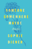 book cover for Someone Somewhere Maybe