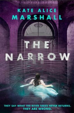 book cover for The Narrow