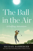 book cover for The Ball in the Air