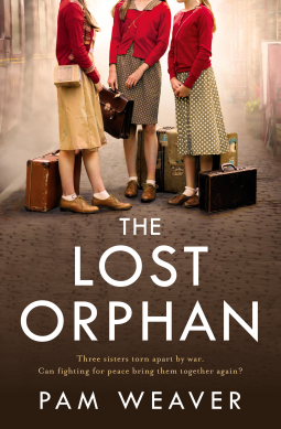 book cover for The Lost Orphan