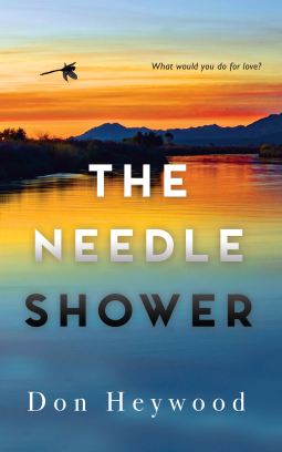 book cover for The Needle Shower