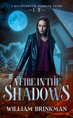 book cover for A Fire in the Shadows