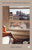 book cover for Not Quite a Disaster After All