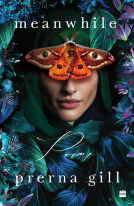 book cover for Meanwhile