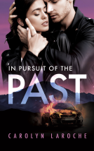 book cover for In Pursuit of the Past
