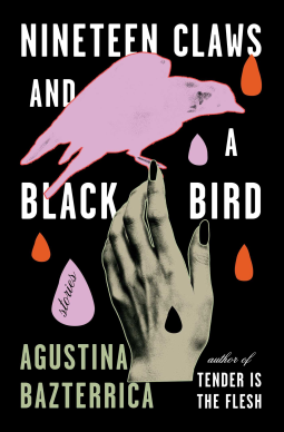 book cover for Nineteen Claws and a Black Bird