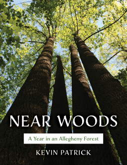 book cover for Near Woods