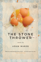 book cover for The Stone Thrower