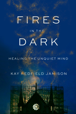 book cover for Fires in the Dark