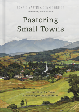 book cover for Pastoring Small Towns