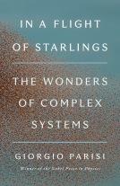 book cover for In a Flight of Starlings