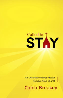 book cover for Called to Stay