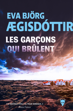 Couverture du livre pour Les garçons qui brûlent
