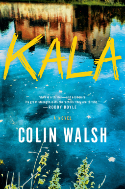 book cover for Kala