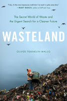 book cover for Wasteland
