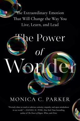 book cover for The Power of Wonder