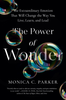 book cover for The Power of Wonder
