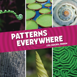 book cover for Patterns Everywhere
