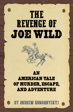 book cover for The Revenge of Joe Wild