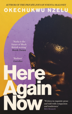 book cover for Here Again Now