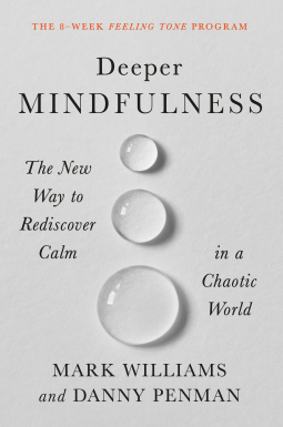book cover for Deeper Mindfulness