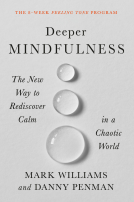 book cover for Deeper Mindfulness