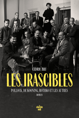 Couverture du livre pour Les irascibles