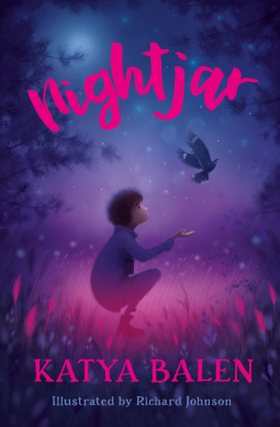 book cover for Nightjar