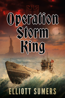 book cover for Operation Storm King