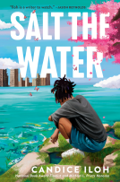 book cover for Salt the Water