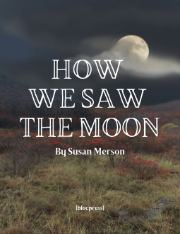 book cover for How We Saw the Moon