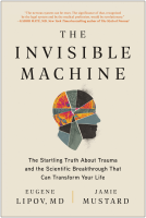 book cover for The Invisible Machine