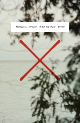 book cover for What You Want