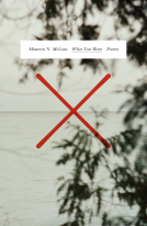 book cover for What You Want