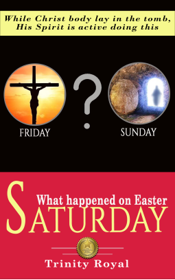 book cover for What Happened on Saturday