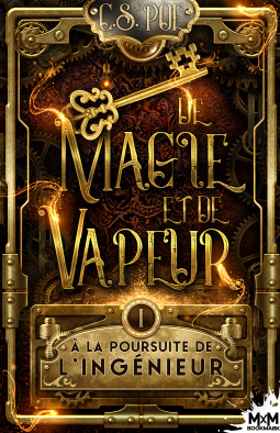 Couverture du livre pour À la poursuite de l'Ingénieur