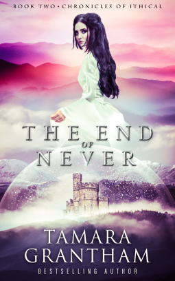book cover for The End of Never