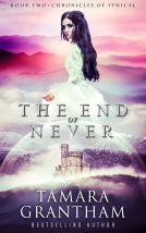 book cover for The End of Never