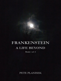 book cover for Frankenstein A Life Beyond