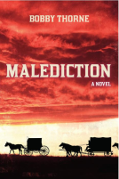 book cover for Malediction