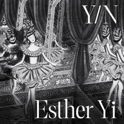 book cover for Y/N