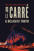 book cover for A Delicate Truth