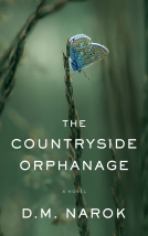 book cover for The Countryside Orphanage