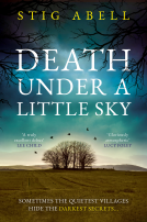 book cover for Death Under a Little Sky