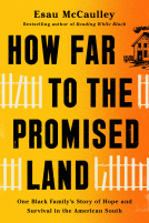 book cover for How Far to the Promised Land