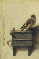 book cover for Ornithologies of Desire