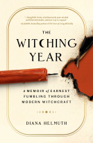 book cover for The Witching Year