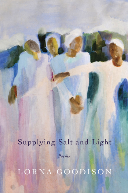book cover for Supplying Salt and Light